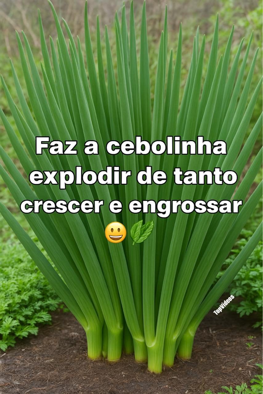Faz Cebolinha explodir de tanto crescer e engrossar (ano todo)