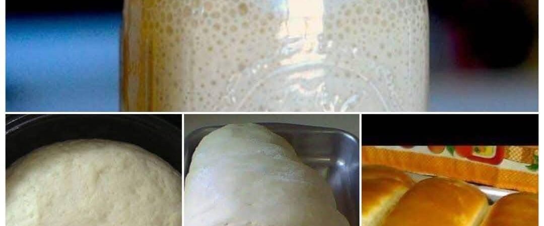 FERMENTO FEITO EM CASA.